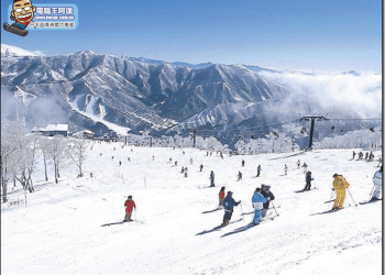 日本滑雪中毒者 苗場雪場方案，市價五折起今年冬天最超值的滑雪行程