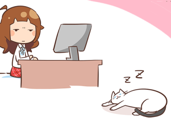 貓咪晚上不睡覺怎麼辦？