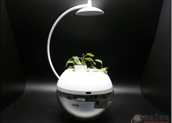 香草與魚 最無腦養魚種植物的療癒小物