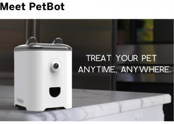 讓寵物不再孤單、讓飼主不再相思成災，智能餵食攝影機：PetBot