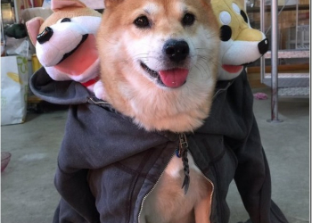 經過了群魔亂舞的一天　國內外有趣萬聖節COS整理