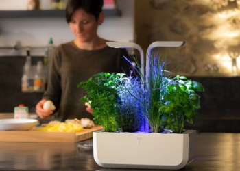 科技小農時代來臨，在家種菜新時尚：VERITABLE