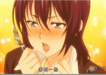 燃燒吧！　追新番好用神器《動漫魂》