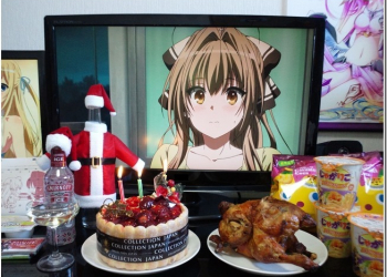 日本阿宅與親愛老婆的聖誕大餐合集　只要你們覺得幸福就好了 - 電腦王阿達