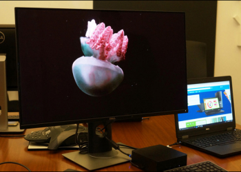 CES2016　Dell這台4K OLED的Ultrasharp 30螢幕不僅符合專業繪圖　靠一條USB Type-C即可驅動 - 電腦王阿達