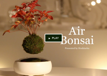 科幻電影中的空中花園成真的，快來入手自己的空中盆栽吧