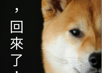 「我回來了」　柴犬回文圖產生器推出手機APP版本 - 電腦王阿達
