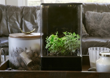 隨時來個森呼吸，桌上型溫室 EcoQube Air 將改變您的生活環境