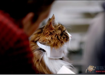 是認真還是惡搞　國外寵物品牌推出貓咪翻譯器「CATTERBOX」 - 電腦王阿達