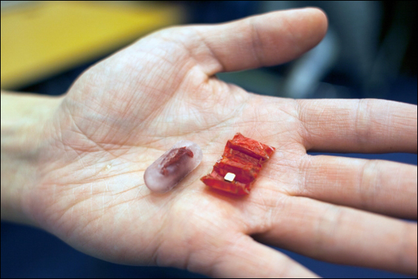 MIT Microsurgeon 1 0