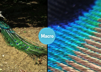 輕鬆把你手機相機變成實驗室等級！BLIPS，微型超進距攝影鏡頭 - 電腦王阿達