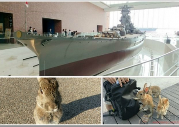 廣島自由行之吳市海事歷史科學館&大和博物館&大久野島(兔子島)一日攻略 - 電腦王阿達