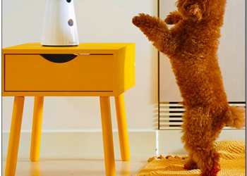 寵物看家很孤單？Furbo 零食餵食器不只陪玩，還拍給你看 - 電腦王阿達