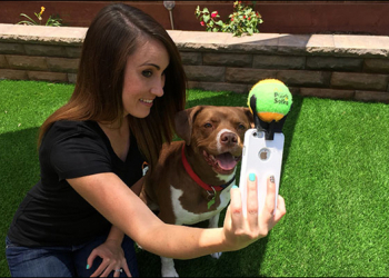 輕鬆拍下狗狗看鏡頭的畫面！POOCH SELFIE讓你更容易紀錄與狗狗的生活點滴 - 電腦王阿達