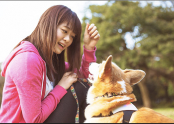 愛狗人兒的福音，Inupathy 頸帶將狗狗所有的喜怒哀樂具象化 - 電腦王阿達