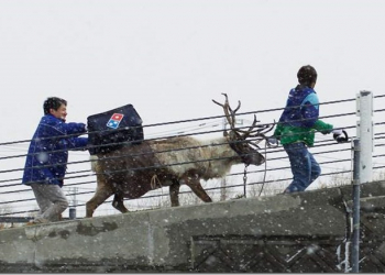 將夢幻留在童話中　日本達美樂宣布以「馴鹿摩托車」取代暴走的「馴鹿外送披薩」計畫 - 電腦王阿達