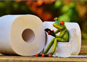 Google Map 找公廁功能印度上線，未來將涵括更多城市