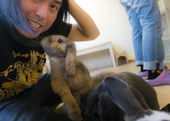 小薛日記17/01/19 兔子珈琲♡