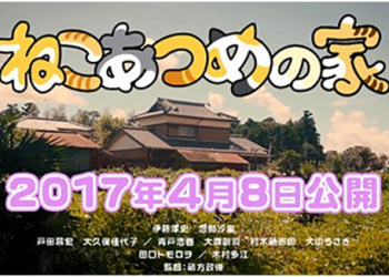 《ねこあつめ》改編真「貓」版電影，失意小說家與一大群貓的幸福生活