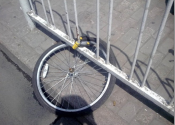 傳說中狼性的正常發揮？　中國共享單車上線20天失竊率高達76.5% - 電腦王阿達