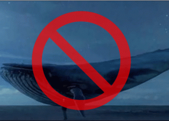 多國下警告令的死亡威脅《藍鯨》進軍中國，請大家不要嘗試，並關注家中青少年