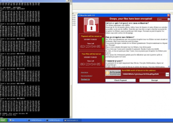 支援Windows XP的勒索病毒 Wannacry解密 工具　但是有使用條件限制 - 電腦王阿達