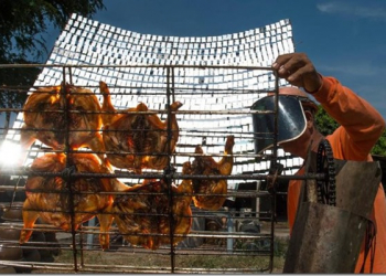 這家攤販煮菜不用火　太陽能烤雞 12分鐘油嫩多汁上桌 - 電腦王阿達