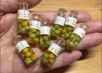 迷你 美食模型 太逼真，日本達人所做的模型超想咬一口