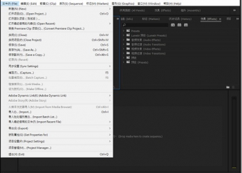【Premiere小技巧】中文英文介面選不定？　那就開啟 Premiere 雙語介面 吧 - 電腦王阿達