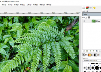 免費影像編輯軟體 GIMP，媲美 Photoshop 的強大工具箱