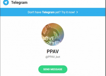三更半夜好夥伴　PPAV 在Telegram另起爐灶功能更加強大了 - 電腦王阿達