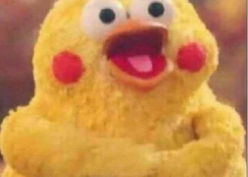 自己的梗圖自己做　鸚鵡兄弟 產生器讓你快速上字（內有鸚鵡兄弟介紹） - 電腦王阿達