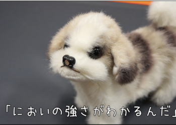 日本廠商發表可偵測氣味的 機器狗 ，以跌倒表示強烈腳臭