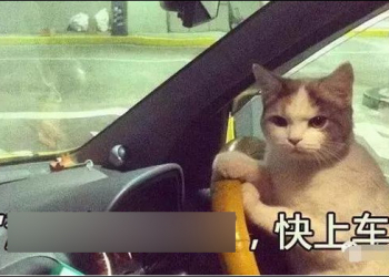 2018防毒軟體推薦：不用再擔心勒索軟體上門了