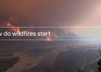 Google 公布台灣 2017 搜尋排行榜 ，原來大家都在搜這些！