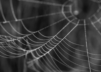 電商就是電商，就算在暗網賣毒品，商譽還是一切