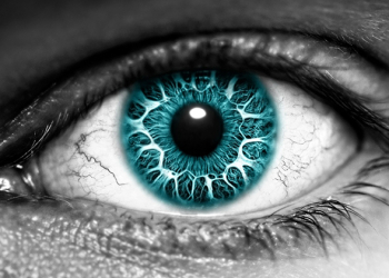 Reddit 上兩張照片引發熱議，原來是 視覺錯視 搞的鬼