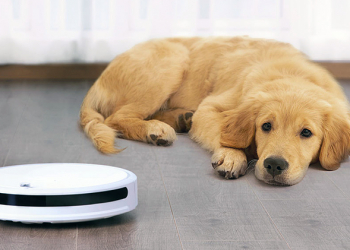 小米生態系推低於千元人民幣的掃地機器人： 小瓦掃地機器人