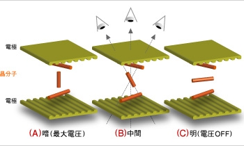 顯示器 小知識 – 什麼是 TN、VA、IPS?