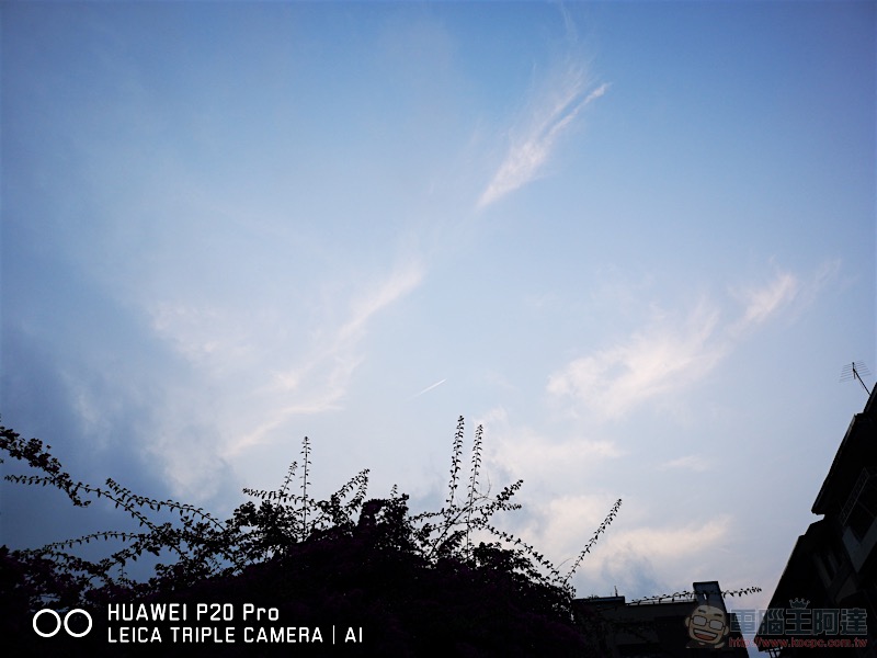 HUAWEI P20 Pro 開箱 、評測、評價：勾動攝影魂的美型旗艦 - 電腦王阿達