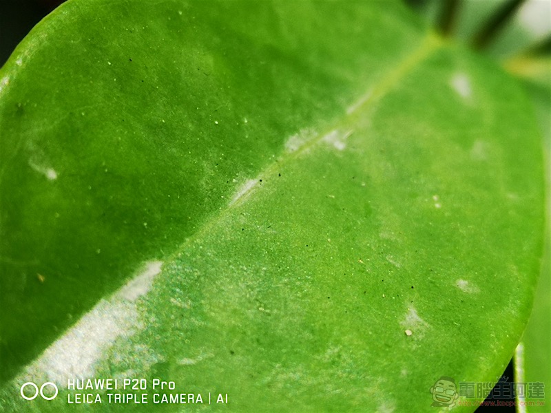 HUAWEI P20 Pro 開箱 、評測、評價：勾動攝影魂的美型旗艦 - 電腦王阿達