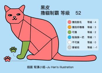 全台瘋制縣！日本、台灣、香港制縣大整理，外加正夯「擼貓制霸」，燃燒吧！貓奴！