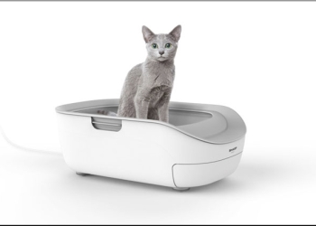 SHARP 進軍寵物市場在日推出 IoT 貓砂盆，控管主子們的排泄狀況