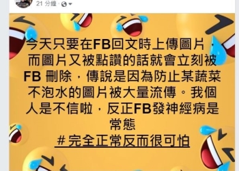 臉書發神經病 今日只要在回文時上傳圖片被讚就會秒消失 - 電腦王阿達