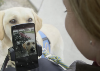 Google Voice Access 讓你只「出張嘴」就能操作手機（軟體介紹）