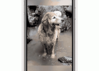 Facebook 3D 照片 功能讓手機「人像」照彷彿活了過來！（啟用方法看這）