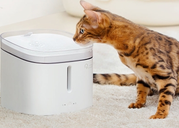 小米有品推出 貓貓狗狗寵物飲水機 ，只要約 445 元新台幣