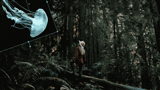 真 · Photoshop CC