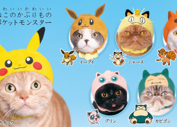 日本推出毛小孩專屬寶可夢頭套 ，可愛程度破表！（笑）