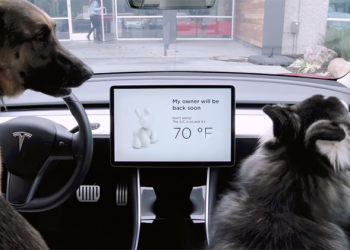 特斯拉新推「狗狗模式」 ，臨停辦事不用擔心寵物悶壞了（同場加映：哨兵模式）